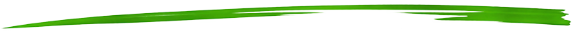 GEMA Bedachungen - Bild